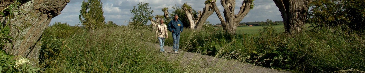 Wandelen